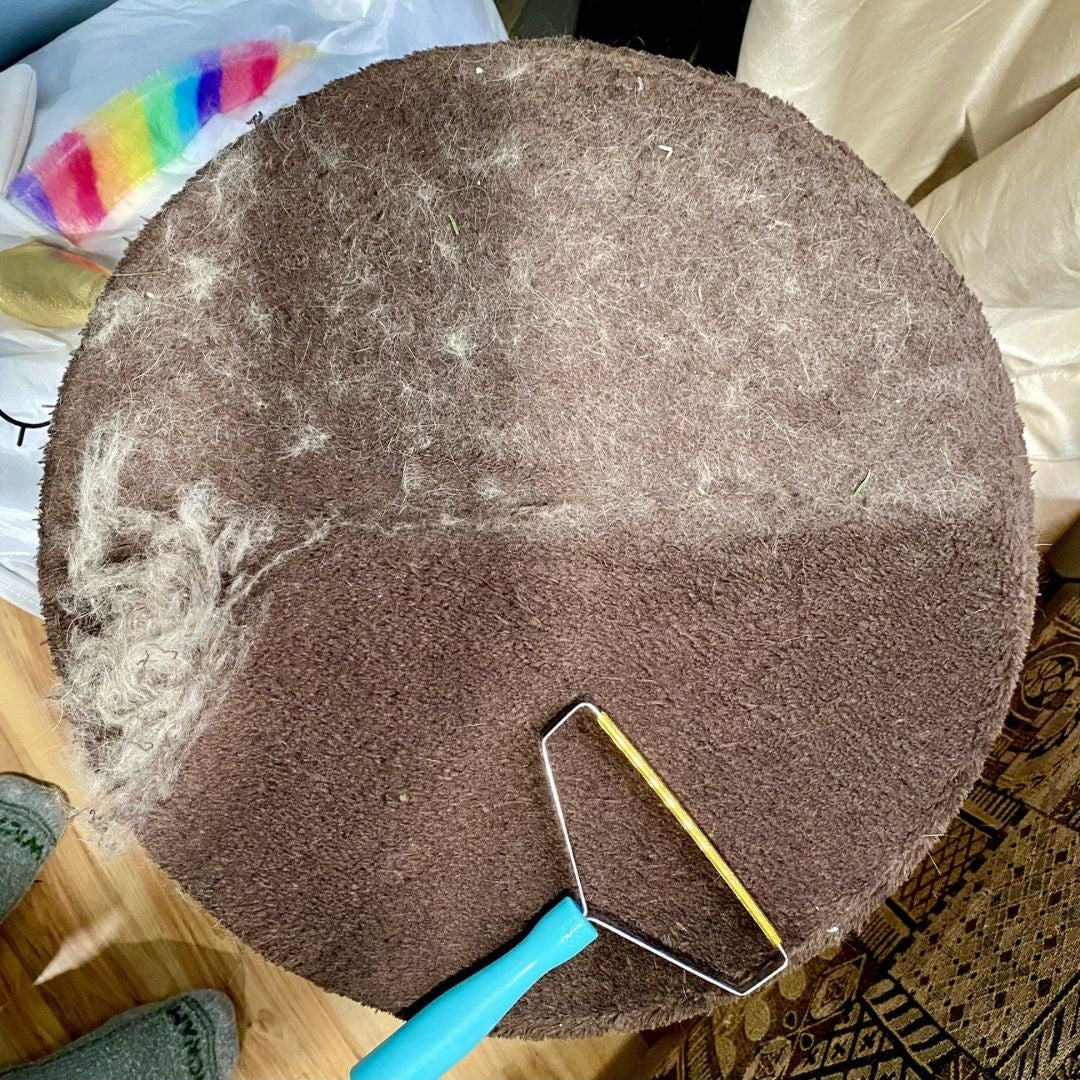 Deep Cleaner Pro Pet Hair Remover