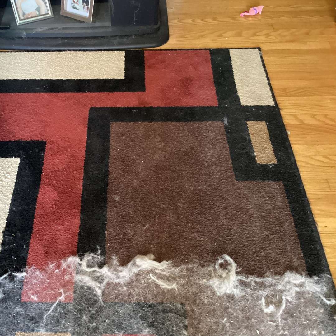 Deep Cleaner Pro Pet Hair Remover